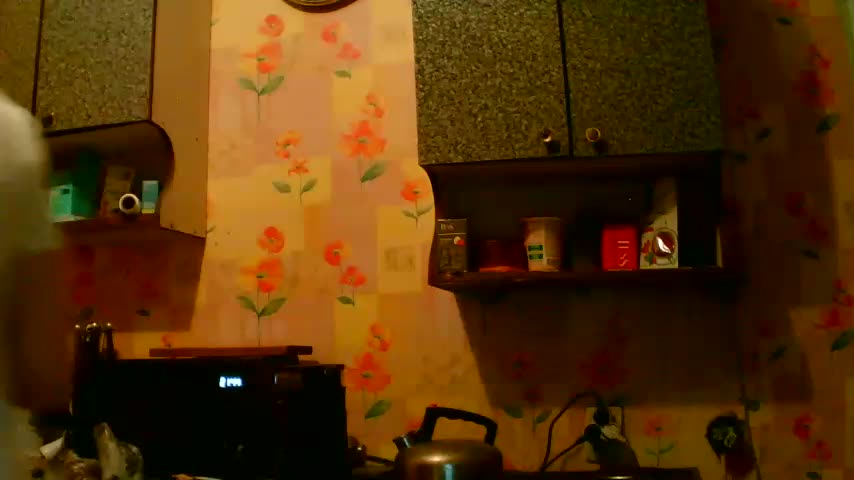 Xo4y-SeXa Adult Chat September 1, 2025