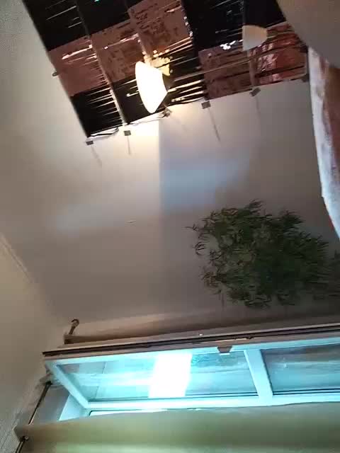 MonicaMilf Adult Chat September 1, 2025