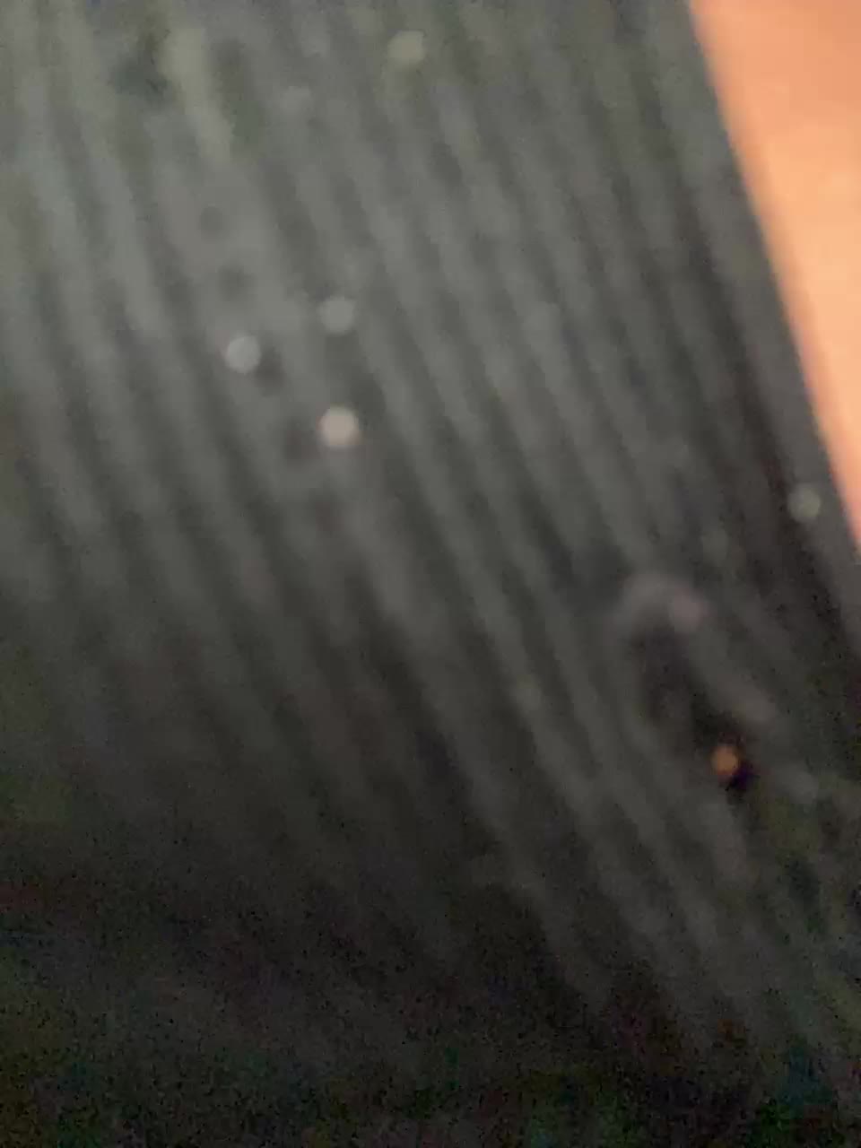 ProstoLolkaXXX Adult Chat September 1, 2025