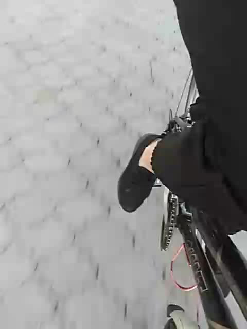 GolayaPravda Adult Chat September 1, 2025