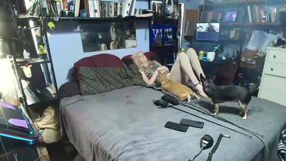 pink_black Adult Chat September 1, 2025