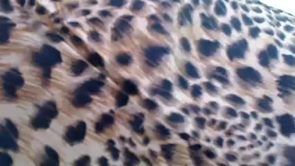 Veta-Viola Adult Chat September 1, 2025