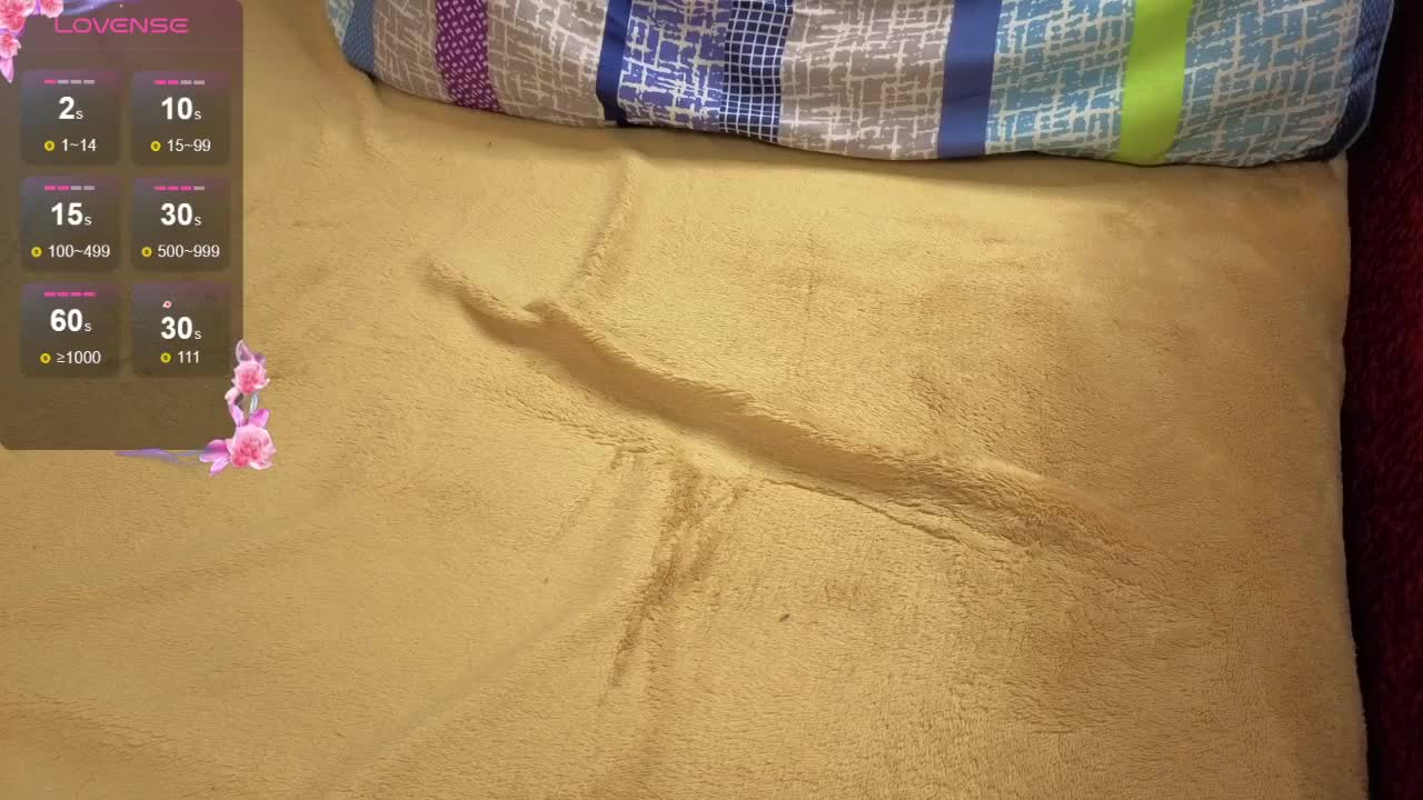 WildCatling Adult Chat September 1, 2025