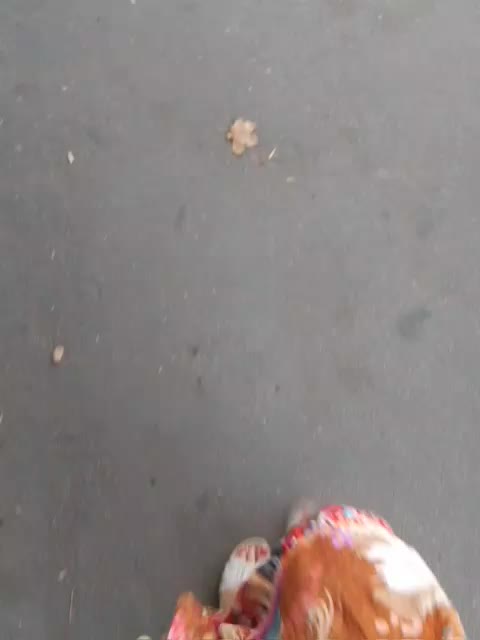 EVIL_TITS Adult Chat September 1, 2025