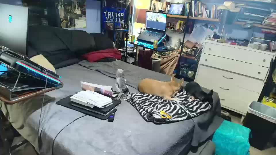 pink_black Adult Chat September 2, 2025