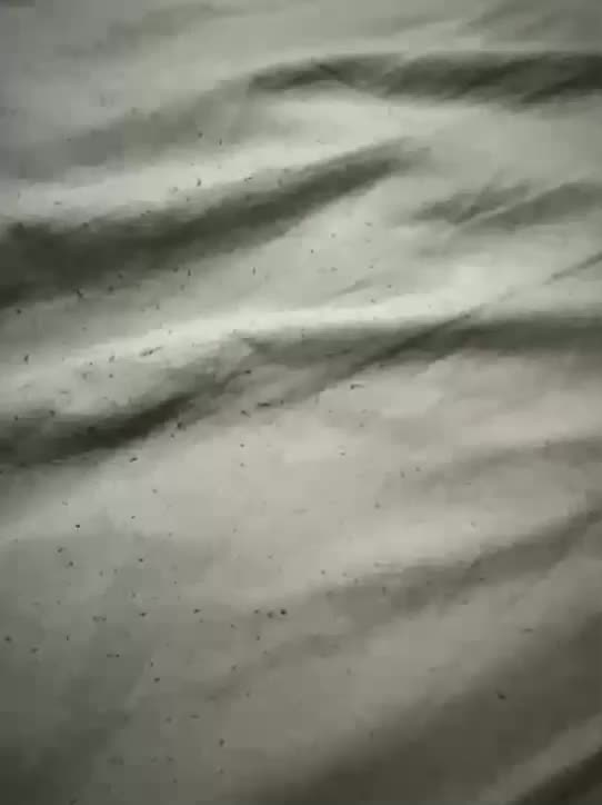 Rain_and_Lana Adult Chat September 3, 2025