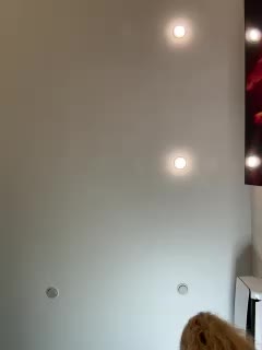 Ellidi Adult Chat September 2, 2025