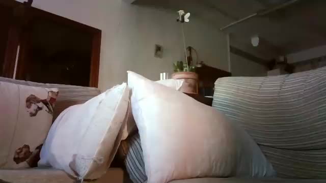 lolahueso Adult Chat September 3, 2025