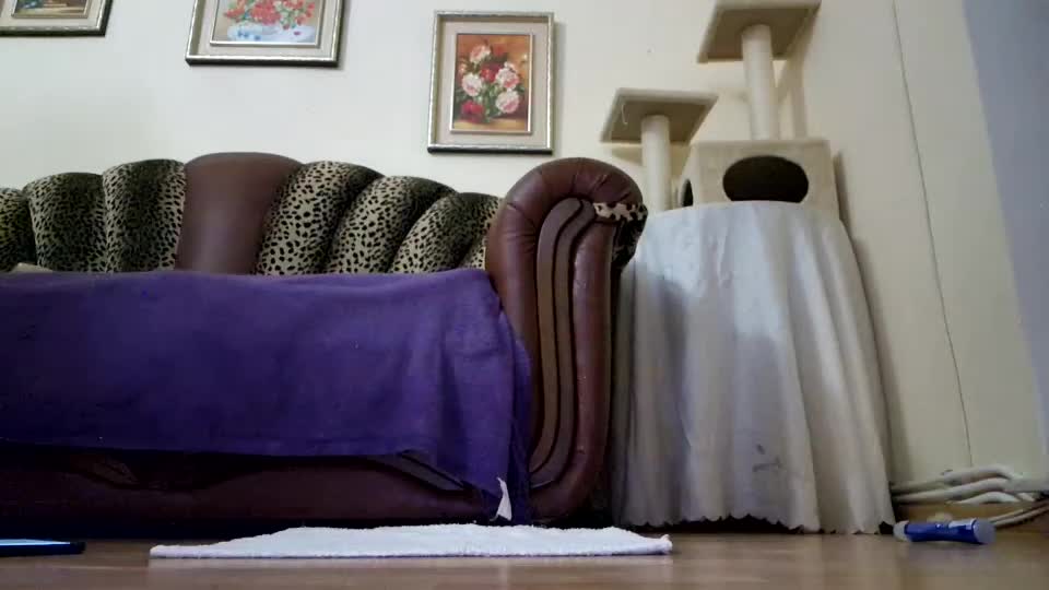 likechoco Adult Chat September 3, 2025