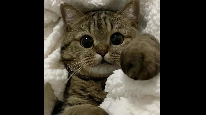 lusty_red Adult Chat September 3, 2025