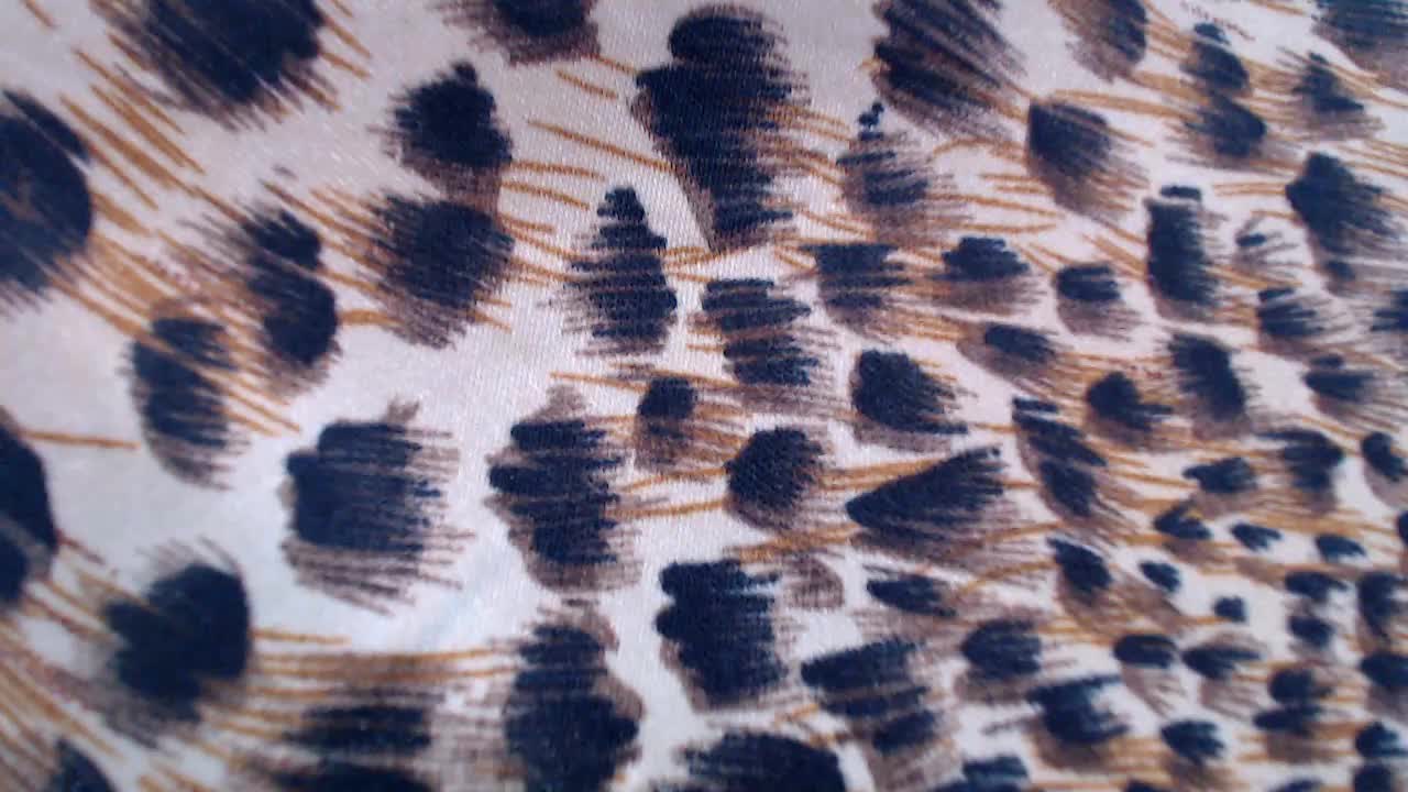 Veta-Viola Adult Chat September 3, 2025