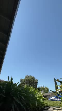 PrurientGem Adult Chat September 1, 2025