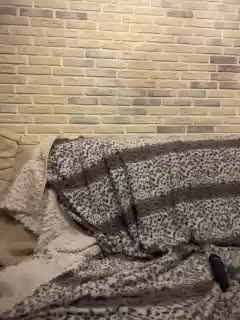 Panther_0888 Adult Chat September 4, 2025