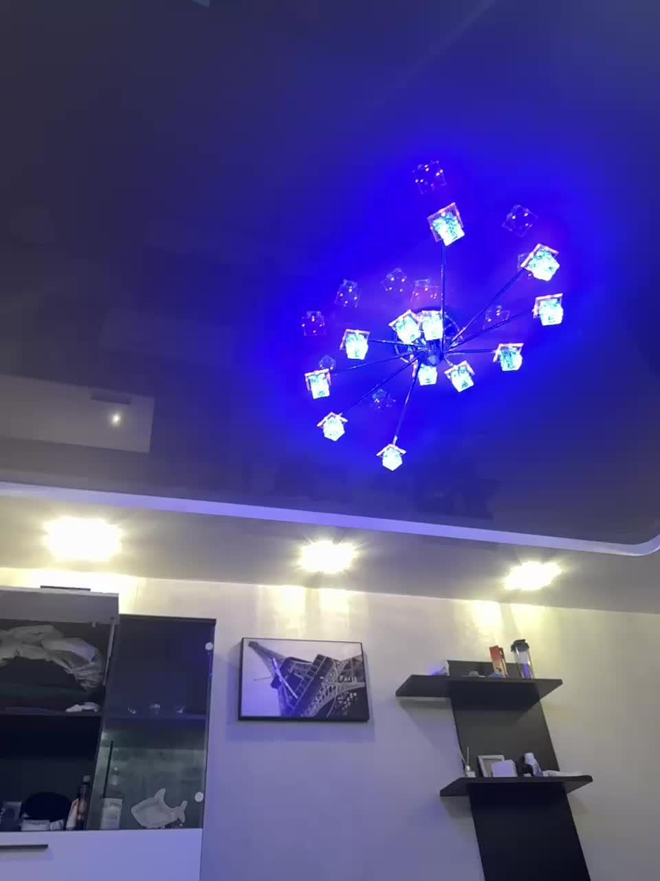 Fox-81 Adult Chat September 3, 2025