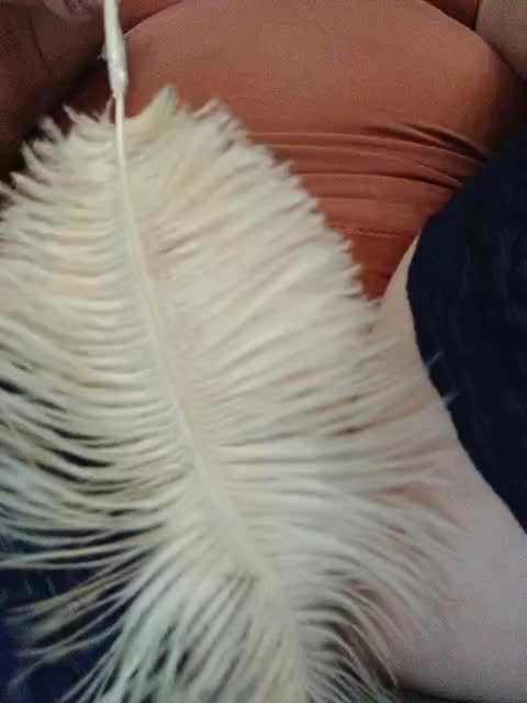 Tata42 Adult Chat September 4, 2025