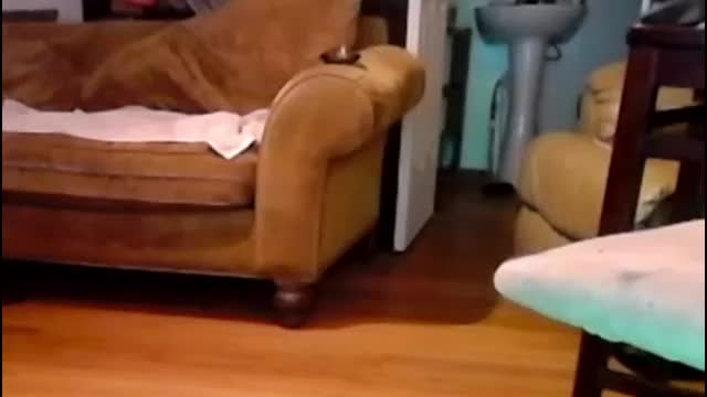 annunakispawn Adult Chat September 4, 2025