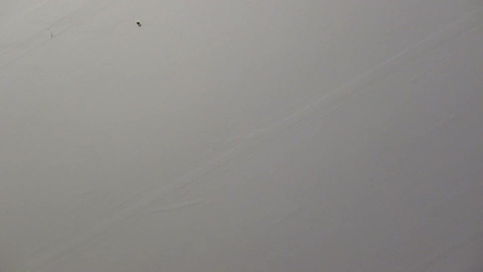 kuntryboyfresh1995 Adult Chat September 4, 2025