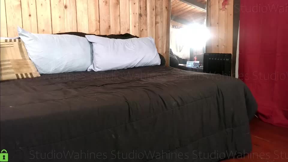 studiowahines Adult Chat September 4, 2025