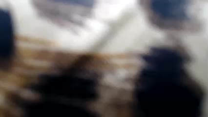 Veta-Viola Adult Chat September 5, 2025