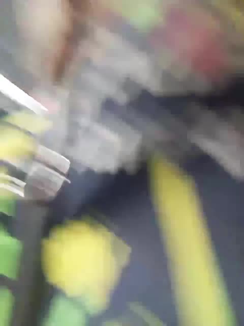 Sweetie29a Adult Chat September 5, 2025