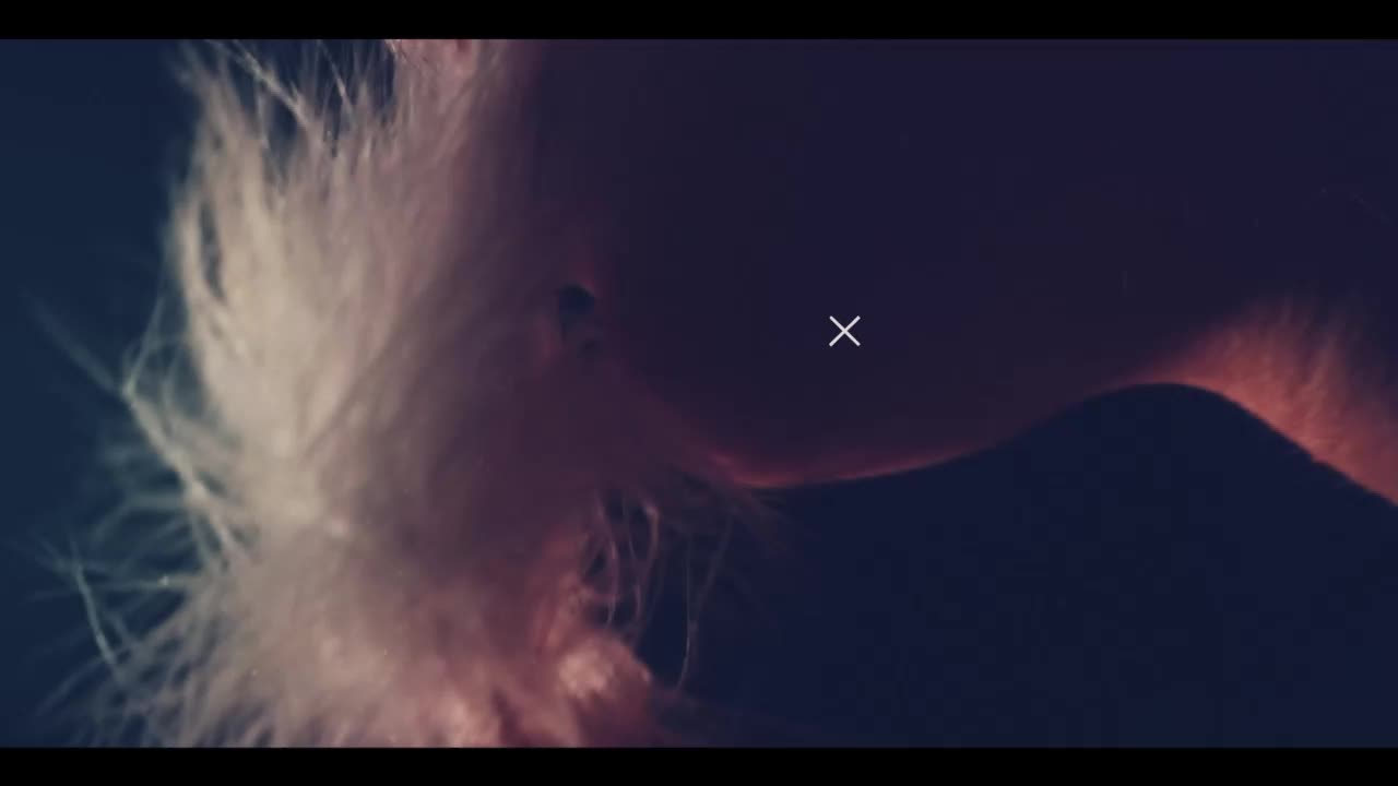 Taanni Adult Chat September 5, 2025