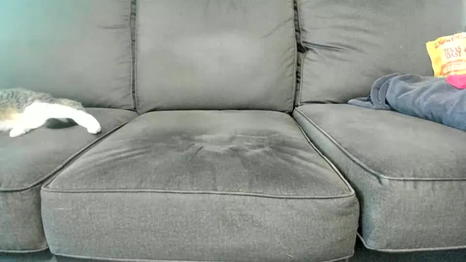 kinkykortney Adult Chat September 6, 2025