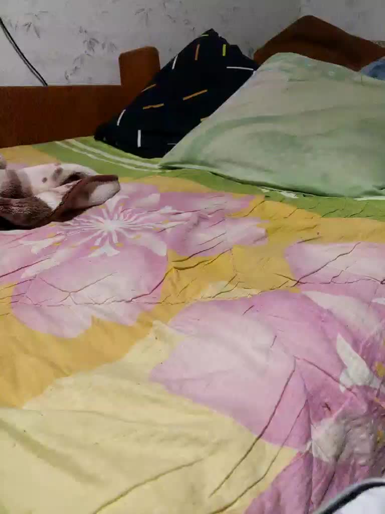 SexPara696969 Adult Chat September 6, 2025