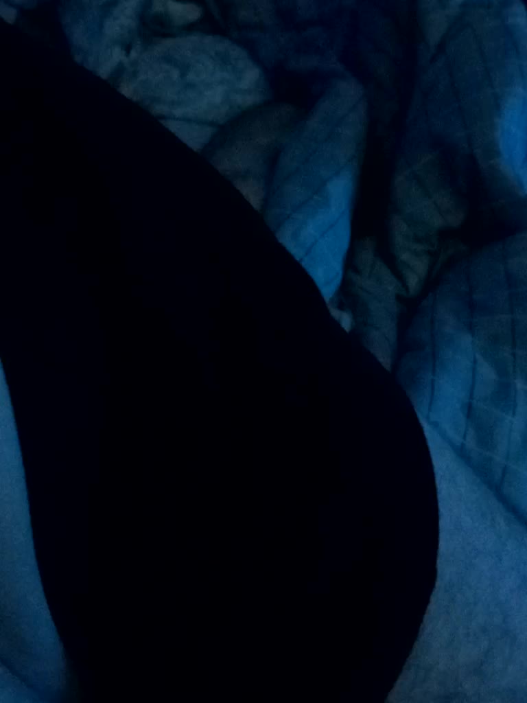 ShyOnes Adult Chat September 6, 2025