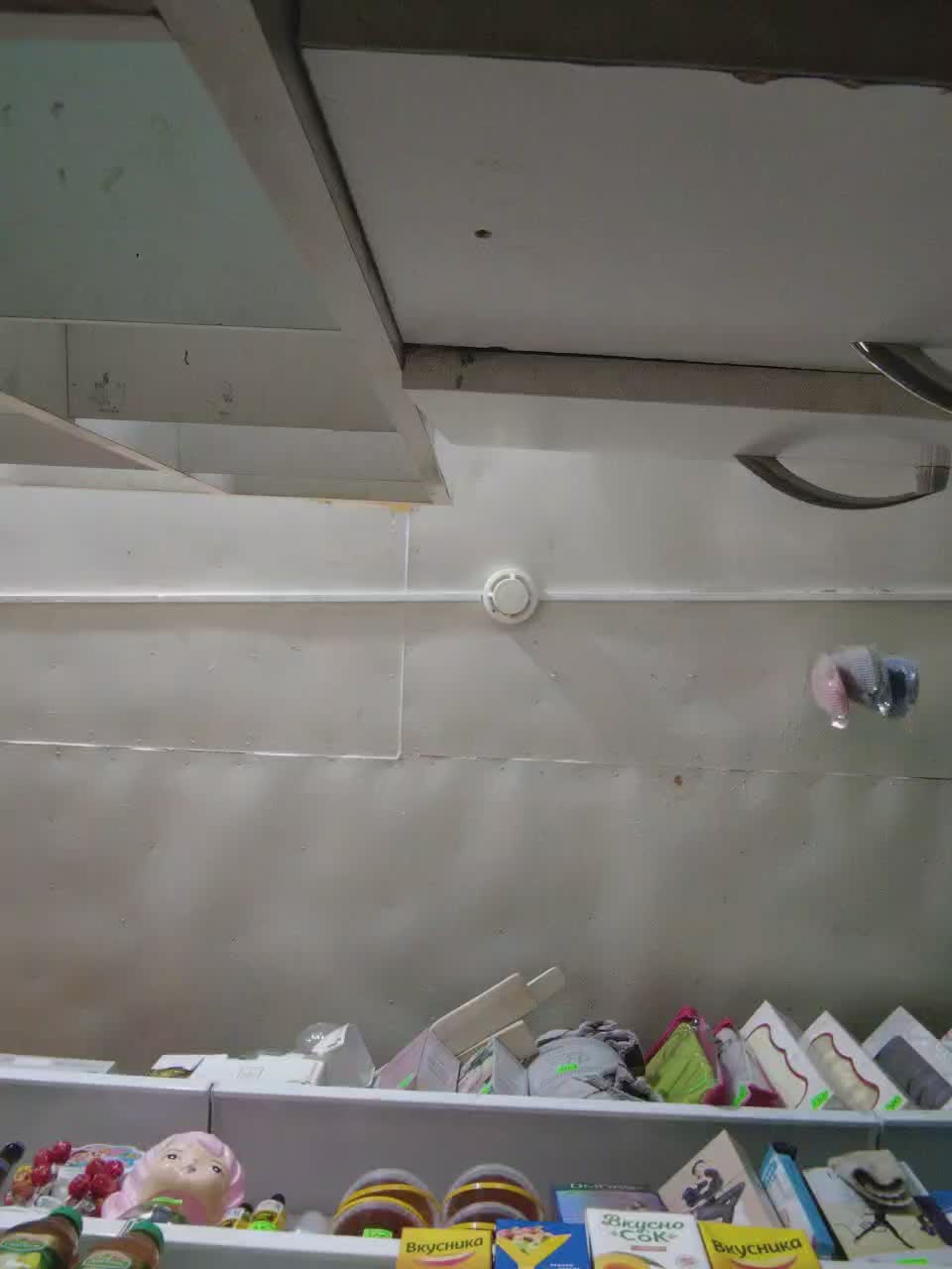 MyLittlegi Adult Chat September 6, 2025