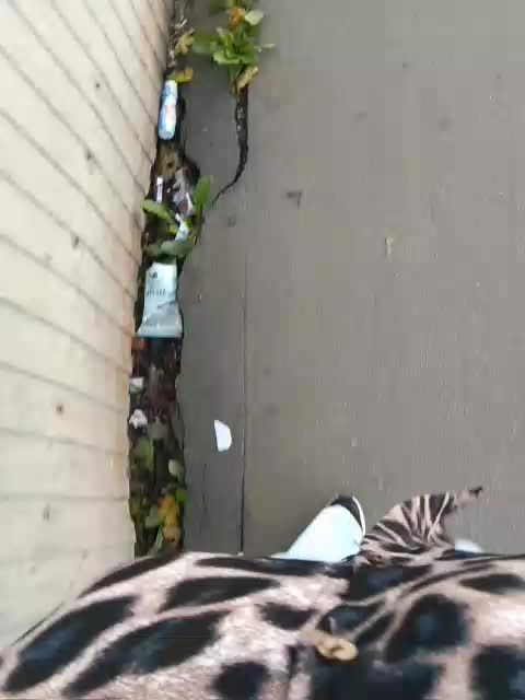 EVIL_TITS Adult Chat September 6, 2025