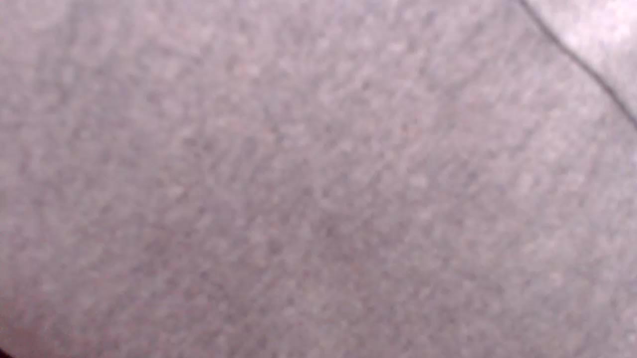 Veta-Viola Adult Chat September 6, 2025