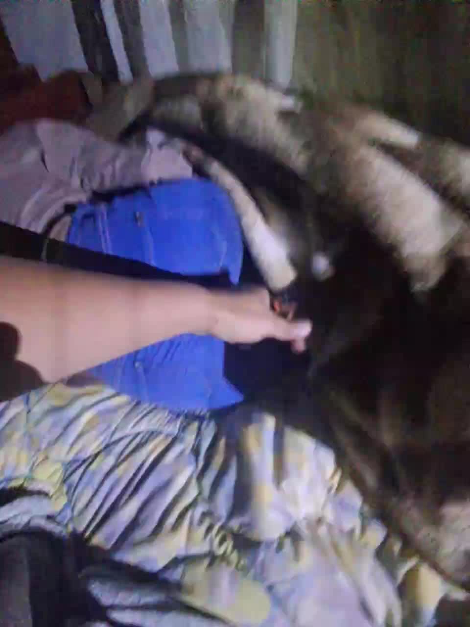 paradise-mmm Adult Chat September 7, 2025