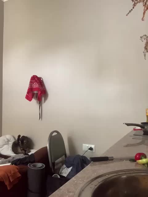 BunnyForceSolo Adult Chat September 7, 2025