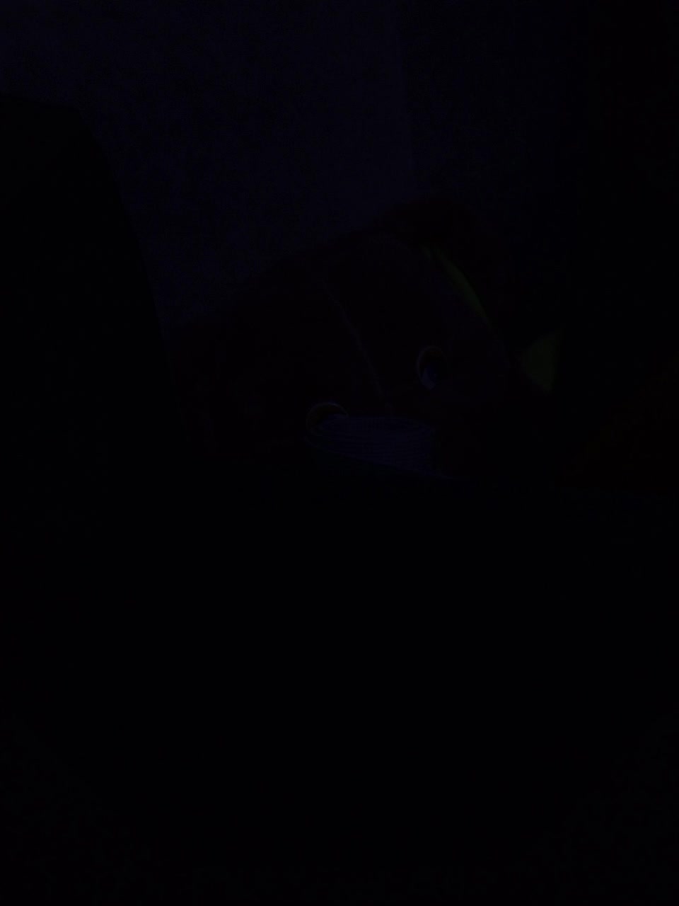 FishKillaMashkatimka Adult Chat September 8, 2025