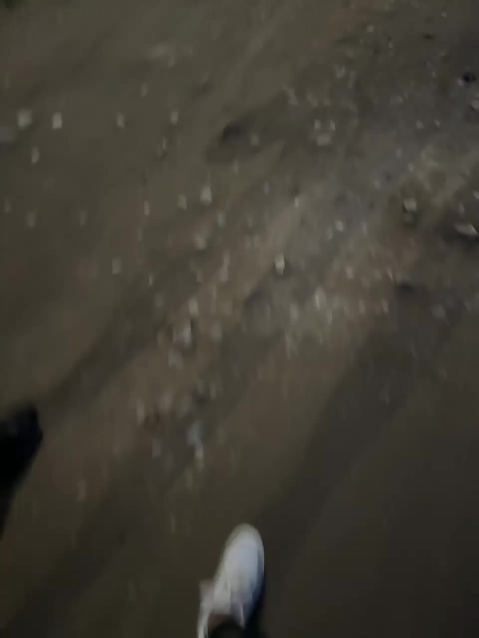 Two-loves1 Adult Chat September 8, 2025