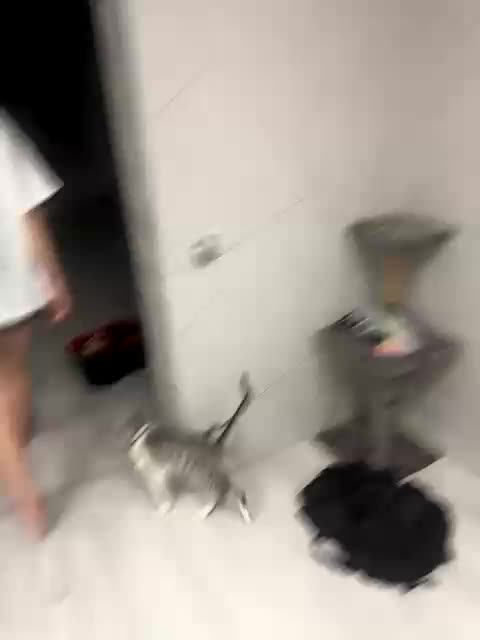 Alinagilberd03 Adult Chat September 8, 2025