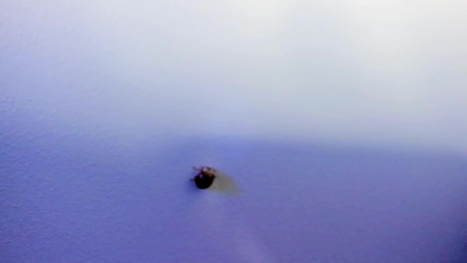 WebSamkaa Adult Chat September 8, 2025