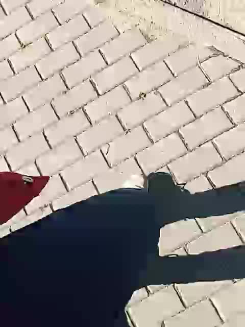 SweetDimond5 Adult Chat September 8, 2025