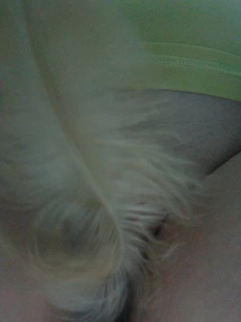 Tata42 Adult Chat September 9, 2025