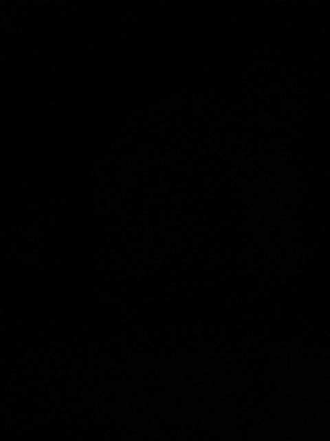 family2020 Adult Chat September 9, 2025