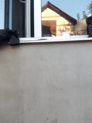 Niht_Angels Adult Chat September 9, 2025