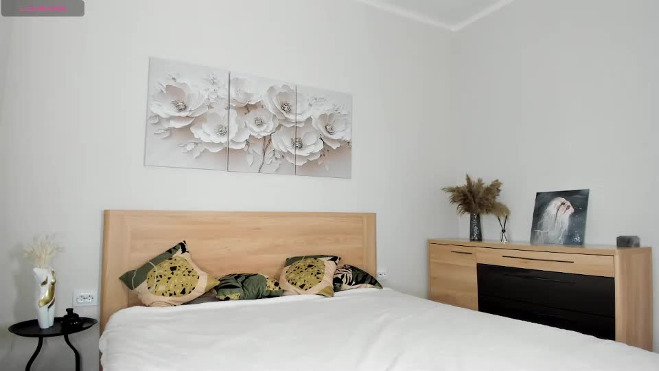 synop_sis Adult Chat September 9, 2025