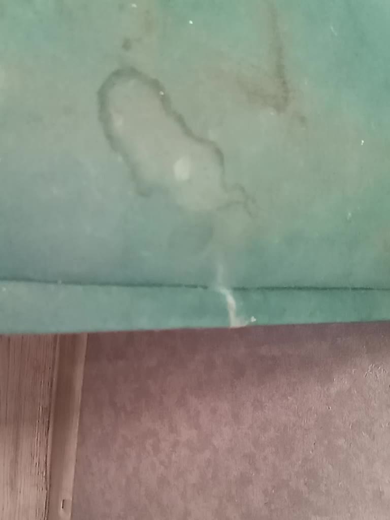 Lily8 Adult Chat September 9, 2025