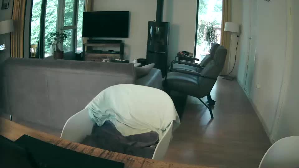 woodwurm Adult Chat September 10, 2025