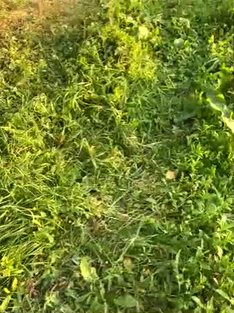 My-love2017 Adult Chat September 10, 2025