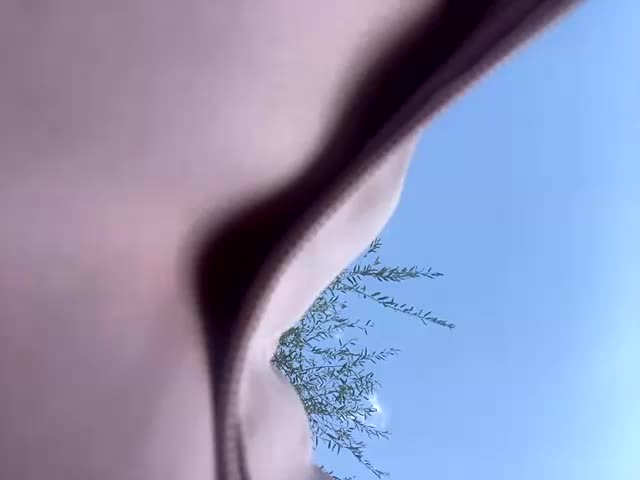 Ella-Mary Adult Chat September 11, 2025