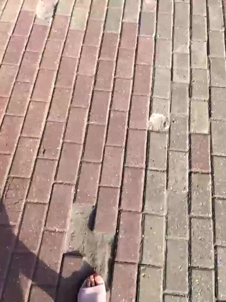 Trin_ Adult Chat September 11, 2025