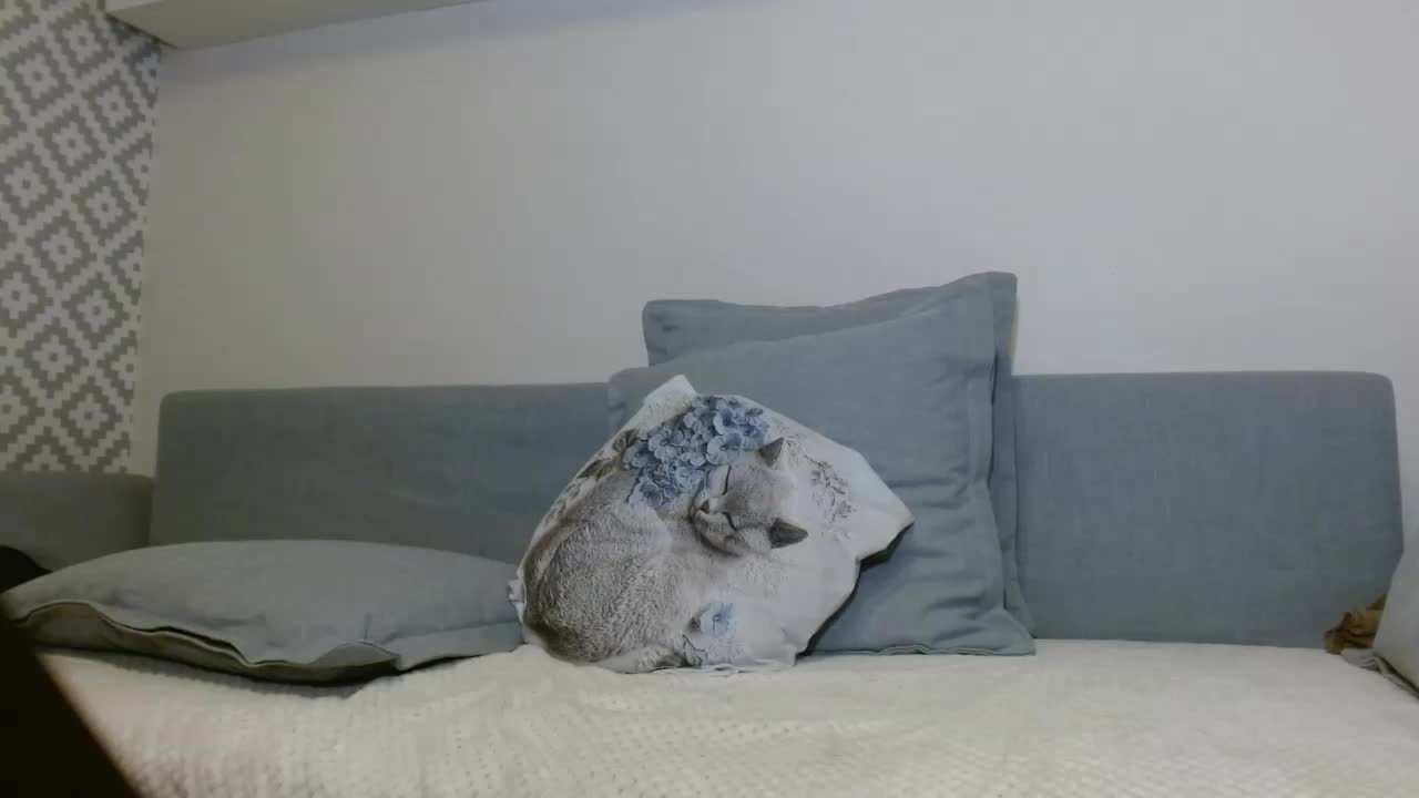 albinochka888 Adult Chat September 11, 2025