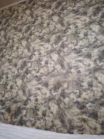 Butterfly_Lily Adult Chat September 10, 2025