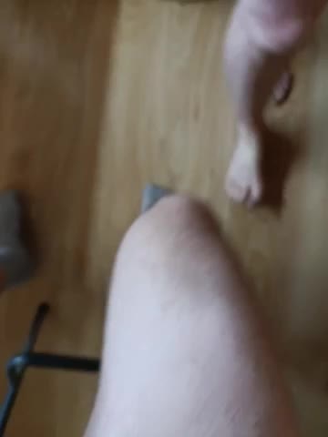 Nepechalka Adult Chat September 11, 2025